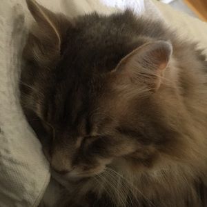 Meet your Posher, Barbara